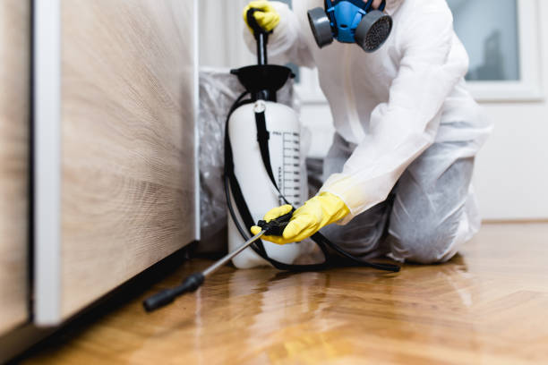 Best Insect Control  in Francis, UT