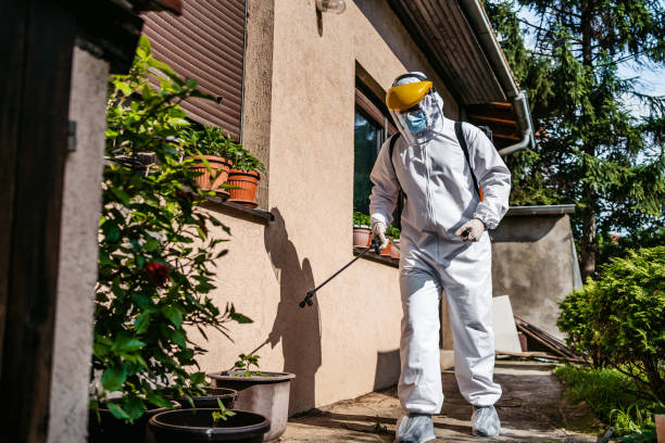 Best Best Pest Control Companies  in Francis, UT