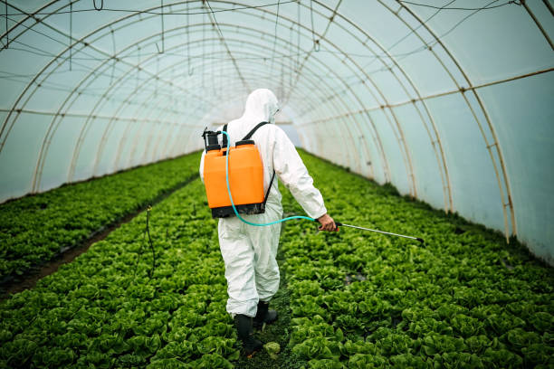 Best Local Pest Control Services  in Francis, UT