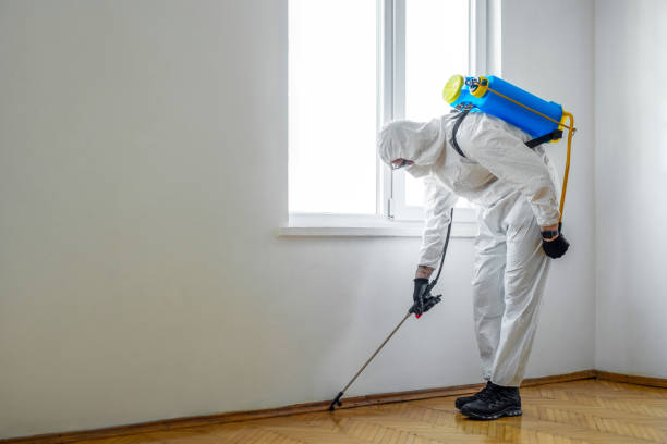 Best Exterminator Services  in Francis, UT