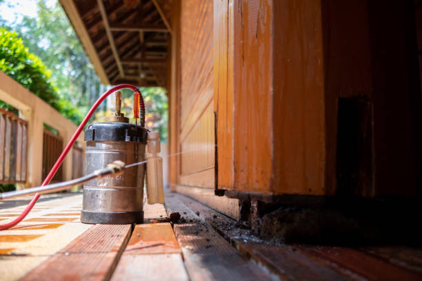 Best Termite Control Services  in Francis, UT