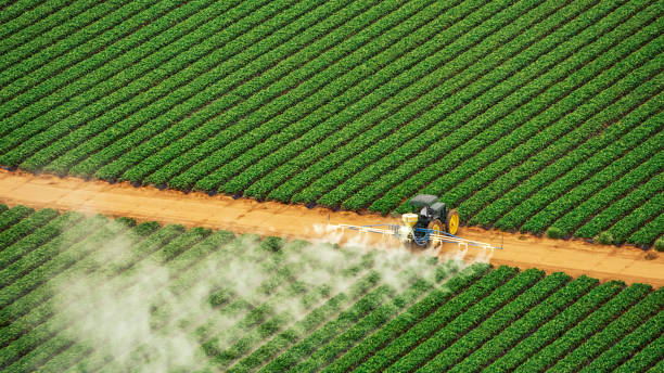 Best Commercial Pest Control Services  in Francis, UT
